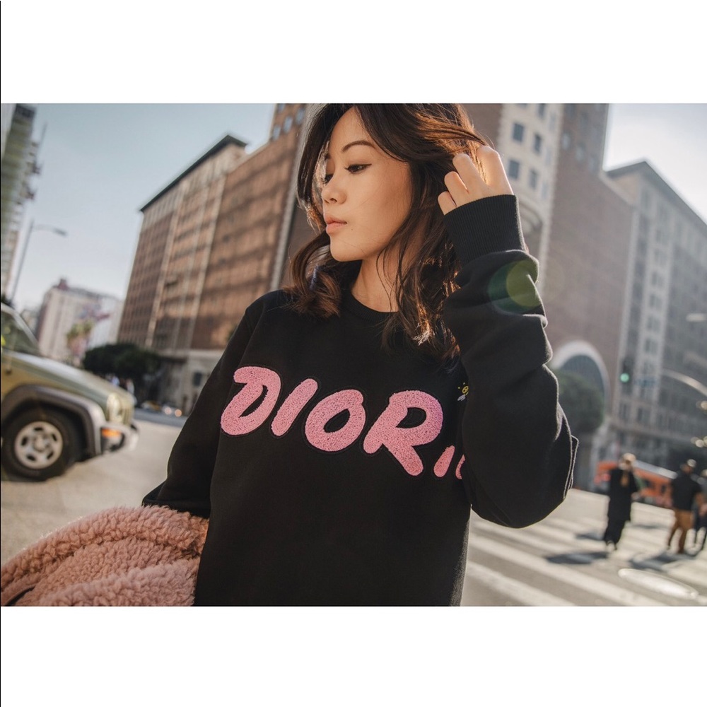 Dior Kaws Sweatshirt